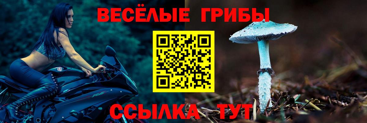 Галлюциногенные грибы прущие грибы Приморско-Ахтарск